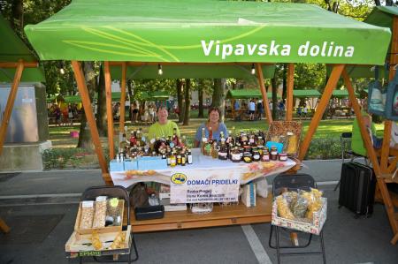 vipavska ned-377